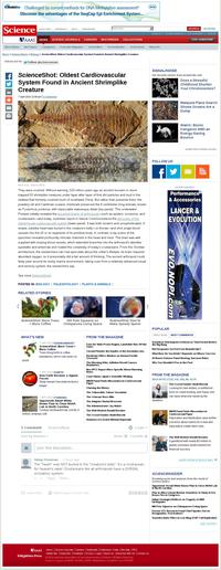 Un 'petit Pompei' de 520 millions d'années.