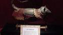 Armure de chat