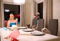 Quand tu préfères les chats aux humains