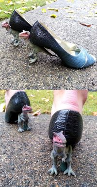 Chaussure T.Rex