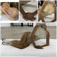 Yosegaman s’est fait virer du taxidermiste 