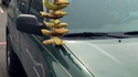 Brochette de bananes
