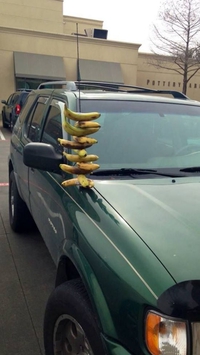 Brochette de bananes