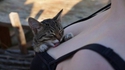 Mylo aime aussi le devant