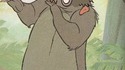 Baloo