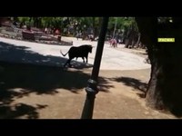 Un miracle!