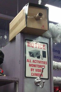 Surveillance en carton