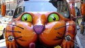 Meow car