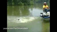 Fails d'été