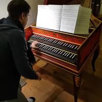 Pirate des Caraibes au clavecin