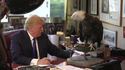 Donald attaqué par un aigle