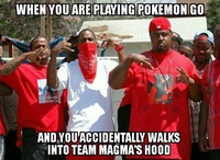 Team Magma Nigga