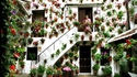 Maison fleurie