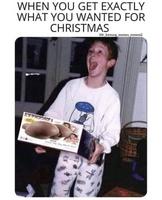 Quand tu as exactement ce que tu voulais pour Noël 