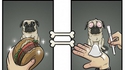 Ce que pensent les chiens