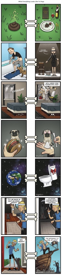 Ce que pensent les chiens