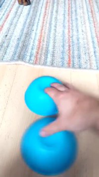 Suivez la croquette !