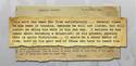 Bulletin d'écolier de John Gurdon