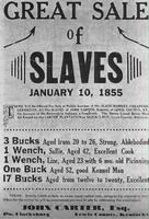 1855 : Approchez ladies & gentlemen, faites votre marché !