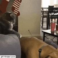 Pssst hé pssst