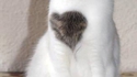 Mylo, on t'aime!