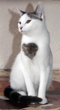 Mylo, on t'aime!