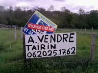 Tairin à vendre