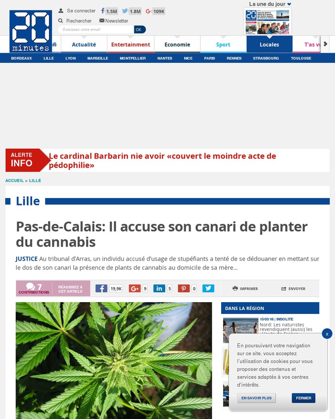 C'est l'histoire du mec qui accusait son canari de cultiver son cannabis.