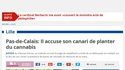 "C'est pas moi, c'est l'canari."