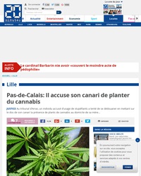 "C'est pas moi, c'est l'canari."