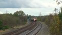 Un oiseau se prend un train