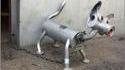 Robot chien