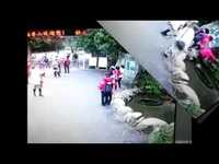 CHINA - Woman Falls Into A Well 