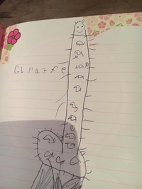 La belle girafe