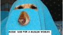 Chienne-guide pour femme musulmane