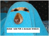 Chienne-guide pour femme musulmane