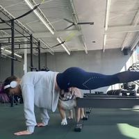 Allez, passe dessous !