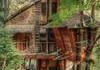 Petite cabane dans les bois