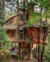 Petite cabane dans les bois