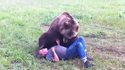 Calin avec un grizzli