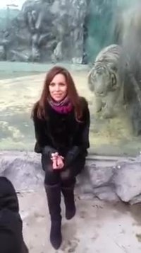 Ne jamais tourner le dos à un félin, mesdames