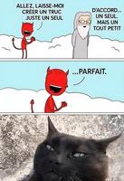 L'origine des chats