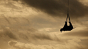 Un rhino volant