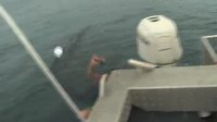 Nager avec les poissons
