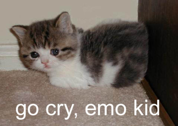 Go cry emo kid.