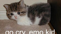 Go cry emo kid