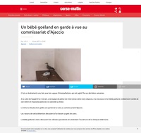 Un goéland chez les poulets.