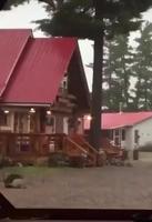 Ne jamais s'abriter sous un arbre