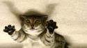 Chatan