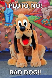 Pluto, non !